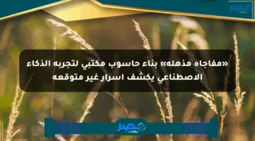 «مفاجأة مذهلة» بناء حاسوب مكتبي لتجربة الذكاء الاصطناعي يكشف أسرار غير متوقعة